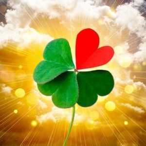 Meet your Posher, An